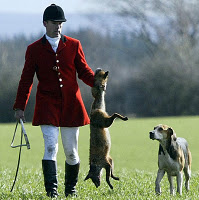 Ban Hunting with Hounds - Northern Ireland - Councillor Brian Wilson