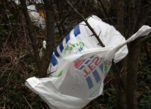 Levy on Plastic Bags, North Down Councillor Brian Wilson, Bangor