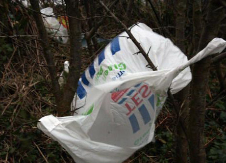 Plastic Bag Levy, North Down Councillor Brian Wilson, Bangor